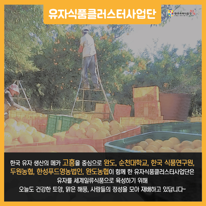 유자식품 클러스터사업단 이미지카드 작은거-04.jpg